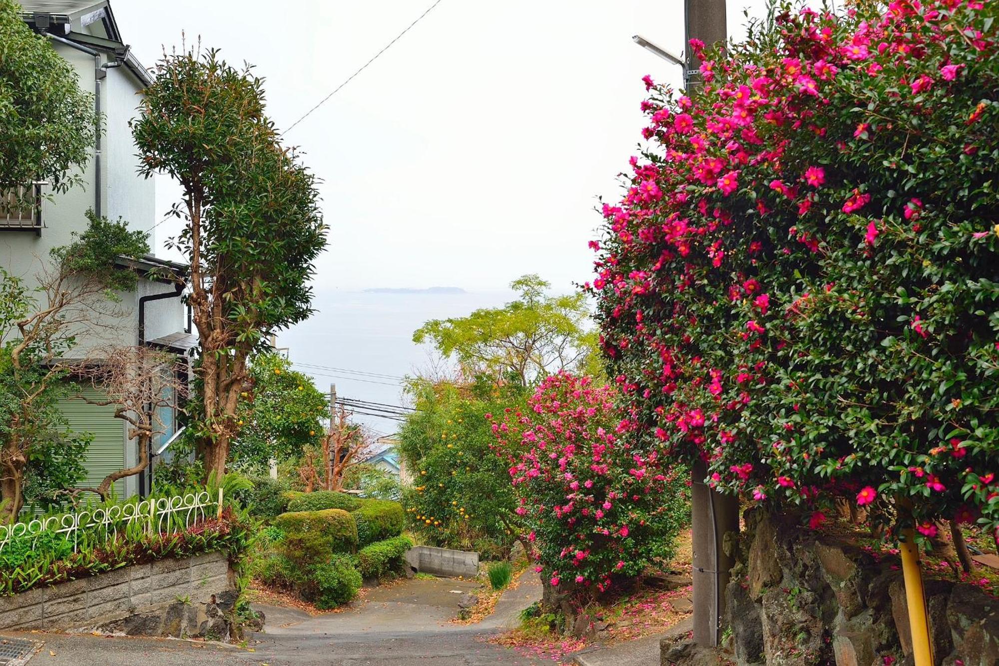 Holiday House 川奈 Ito  Eksteriør bilde